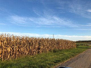 Property photo 69 - MAJOR LAND AUCTION - 1,085+/- ACRES IN 24 TRACTS IN HENRY & WAYNE COUNTIES, INDIANA